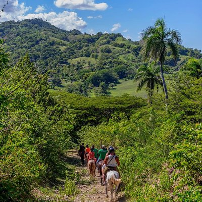 Puerto Plata: Mountain Half Day Horseback Riding